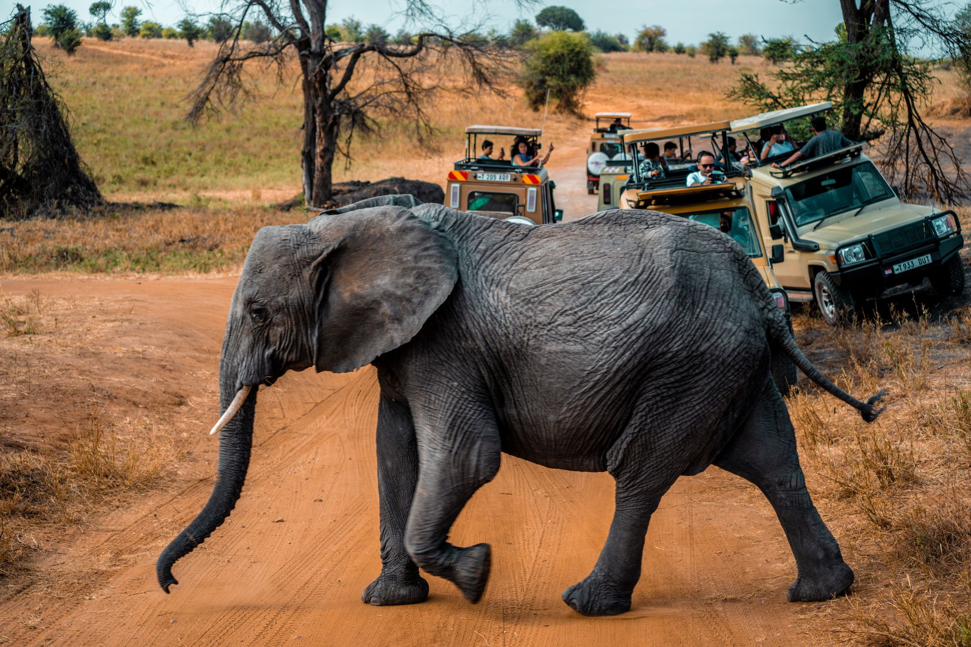 Eco Destinations in Senegal